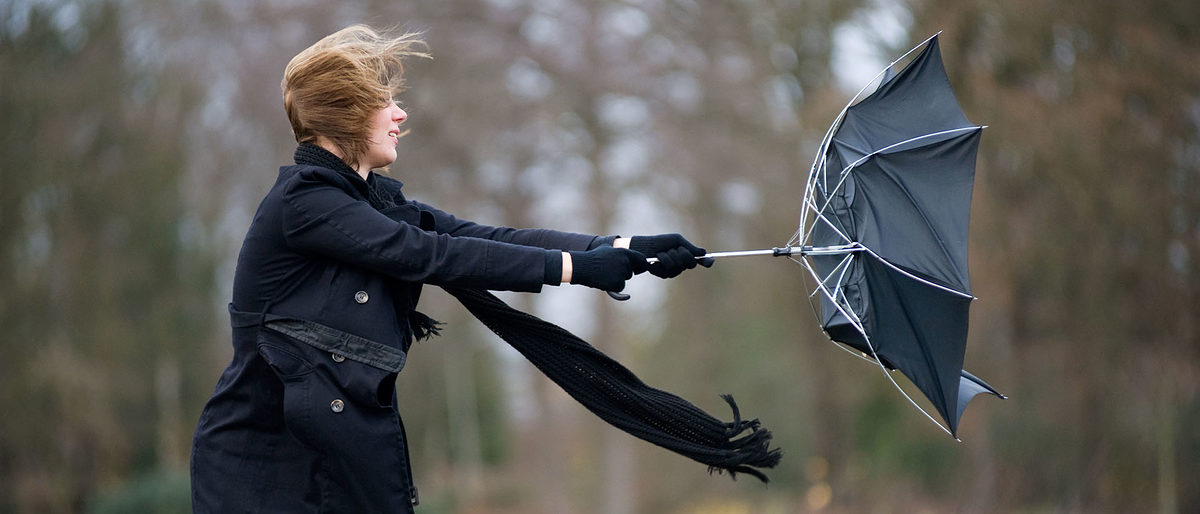 A young woman is fighting against the storm with her umbrella Schlagwort(e): Autumn, Climate, Cycling, Danger, Female, Hurricane, Meteorology, Nature, One Person, Outdoors, Rain, Season, Storm, Street, Typhoon, Umbrella, Weather, Wind, Women