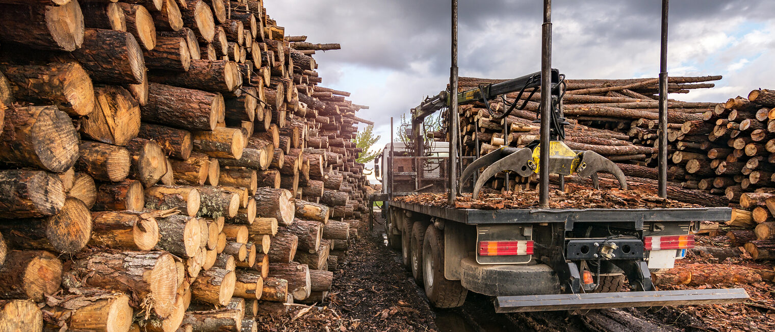 Holzindustrie