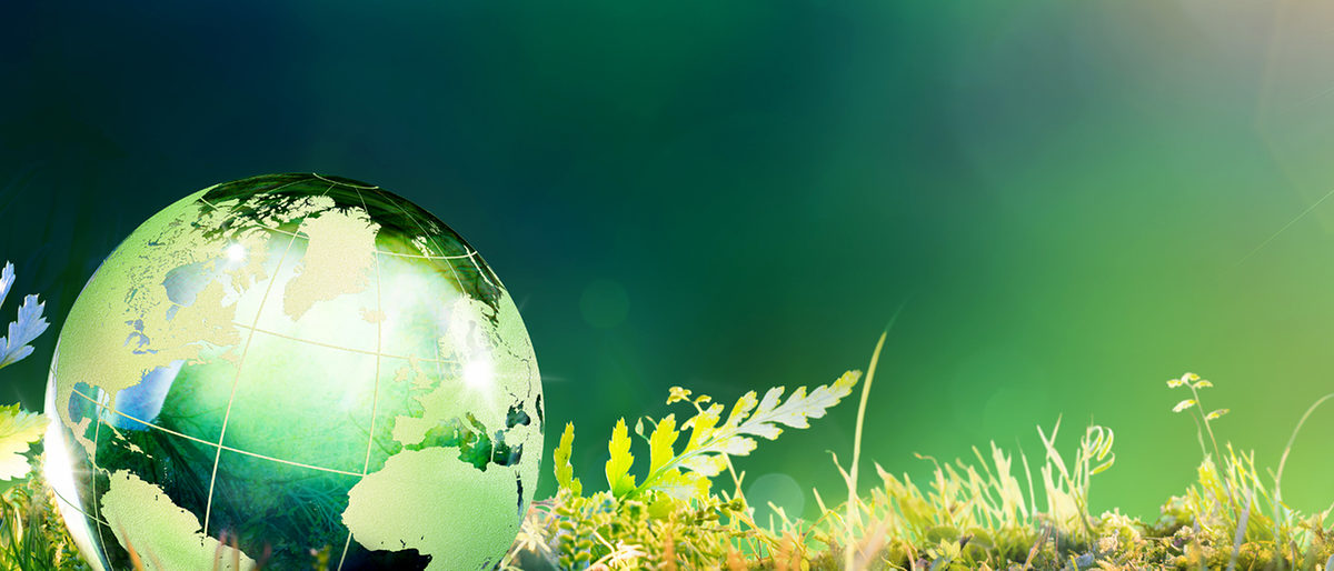 Crystal Planet In Green Forest With Sun Schlagwort(e): Crystal, Environmental Conservation, Grass, Backgrounds, World Map, Illuminated, Concepts, Sphere, Transparent, Bright, Green Color, Glass - Material, Shiny, Environment, Nature, Leaf, Moss, Sunlight, Forest, Earth, Planet - Space, Sun, Formal Garden, Globe - Man Made Object, Earth Day