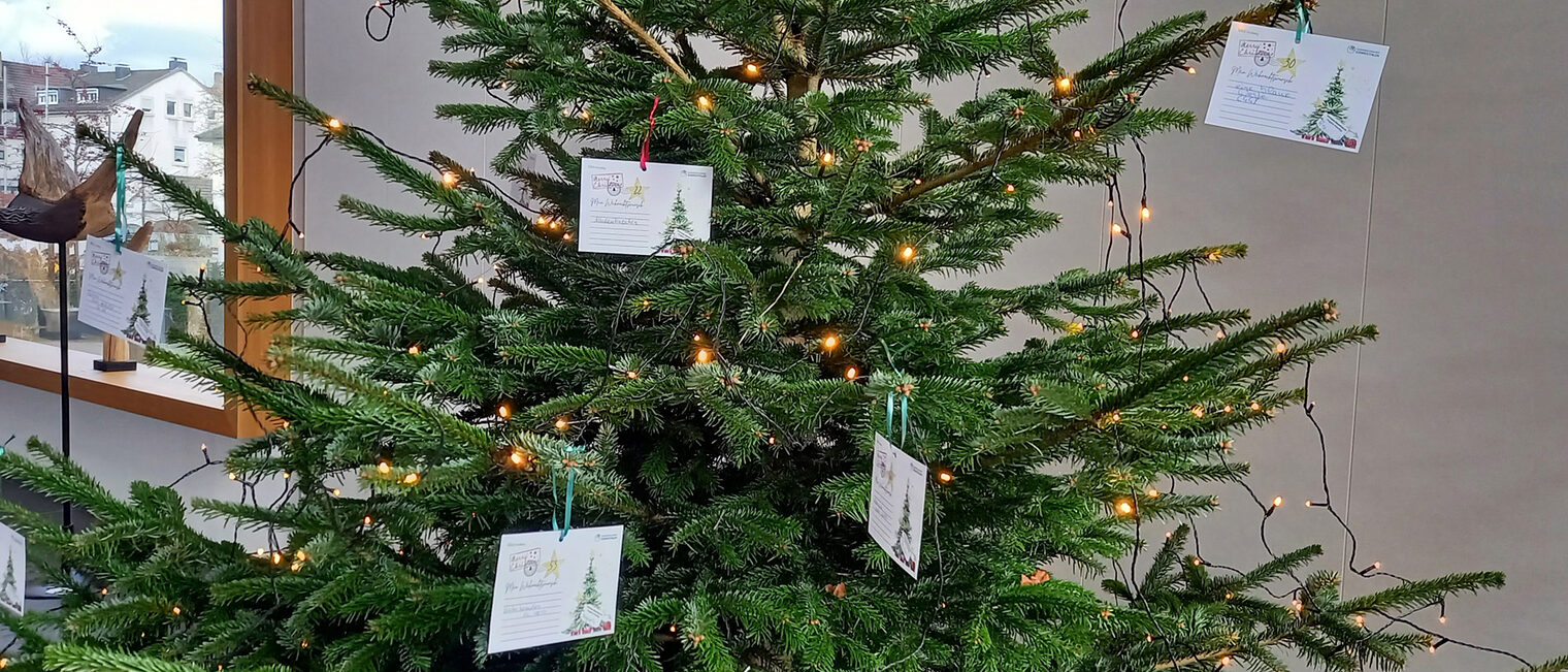 Wunschbaum_01