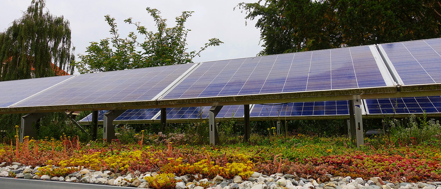 Ein begrüntes Dach mit einer Photovoltaikanlage.